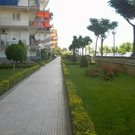 Homing 23