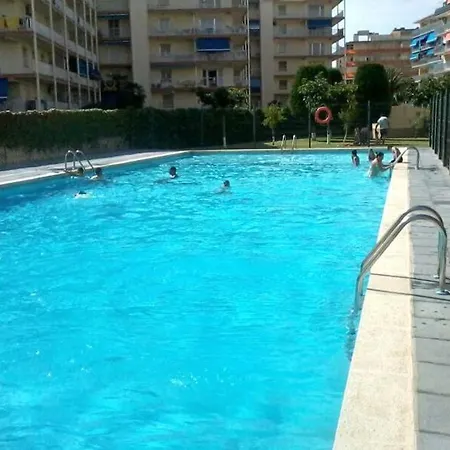 Homing 23 * La Pineda